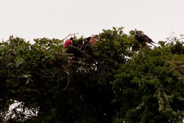 05032013-44-2.jpg