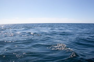 27022012-220.jpg