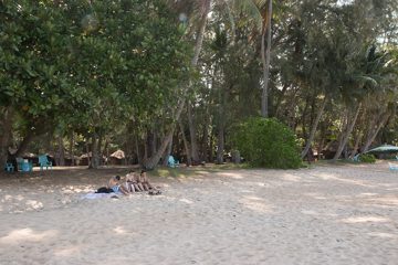 IMG_9590