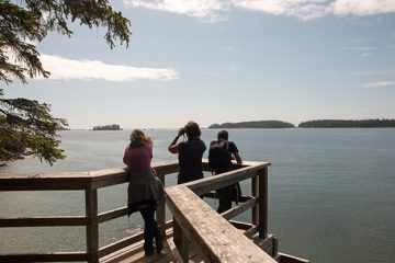 IMG_0884