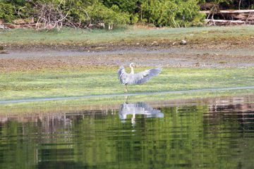 IMG_0796