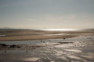 IMG_1047