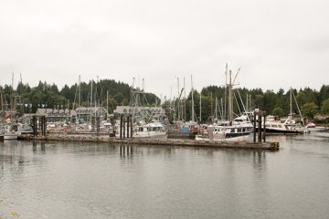 IMG_0713