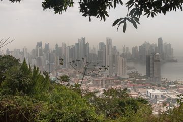 IMG_5244