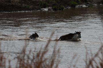 IMG_7564
