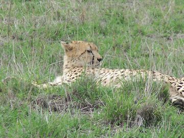 100_1487.jpg