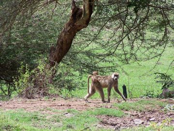 100_1316.jpg