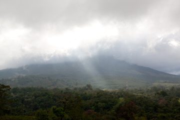 22022012-235.jpg