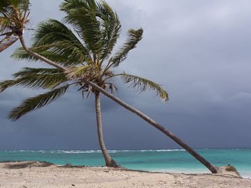 100_2796.jpg