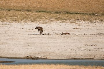 IMG_6378