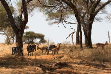 IMG_6148