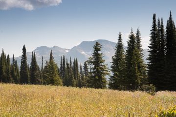 IMG_9913