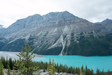 IMG_0333