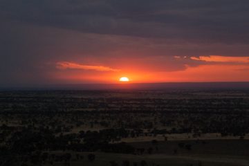 P-IMG_6603-2