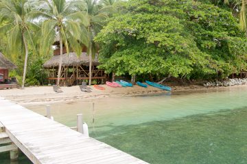 IMG_5599