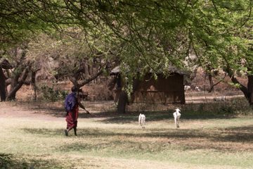 IMG_6973