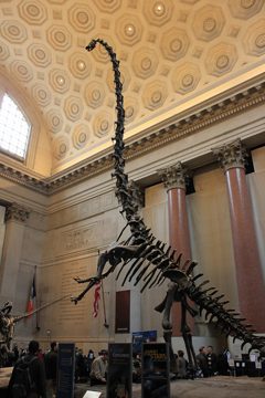 IMG_1223.jpg