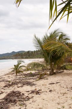 09032013-97.jpg
