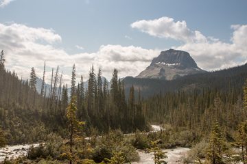 IMG_0508