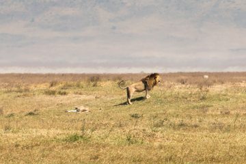 IMG_6326