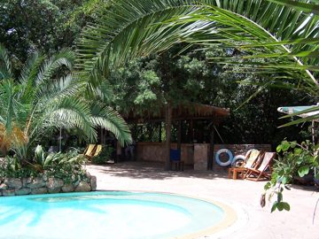 100_1517.jpg