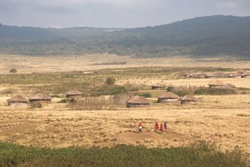 IMG_6500