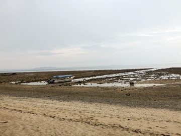 IMG_1153