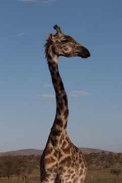 IMG_7261