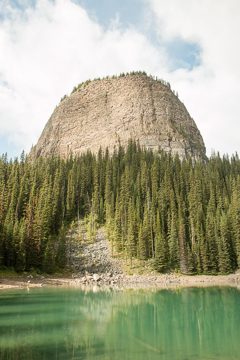 IMG_0236