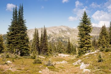 IMG_9935