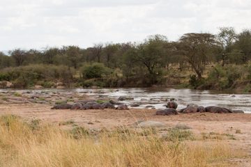 IMG_7431