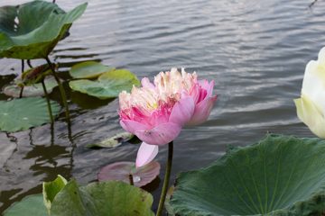 IMG_0282.jpg