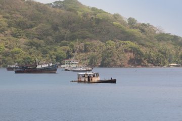 IMG_5110