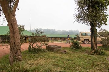 IMG_6488