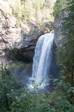 IMG_9881