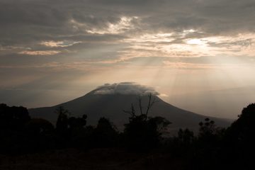 IMG_6588