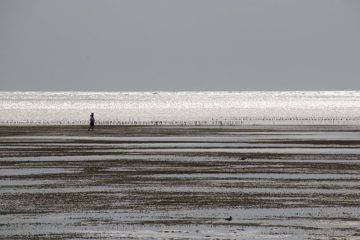 IMG_7886