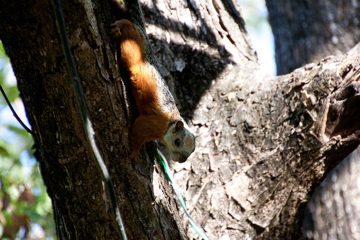 28022012-78.jpg