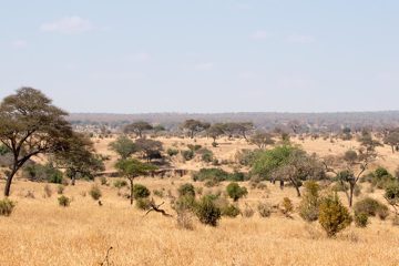 IMG_6139