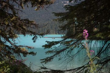 IMG_0513