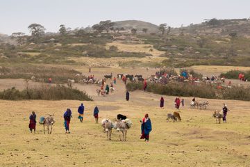 IMG_6622