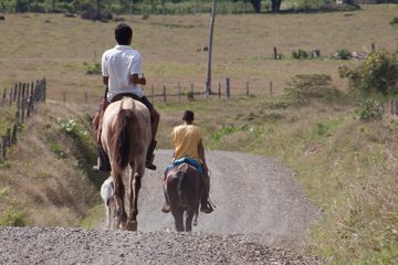 23022012-117.jpg
