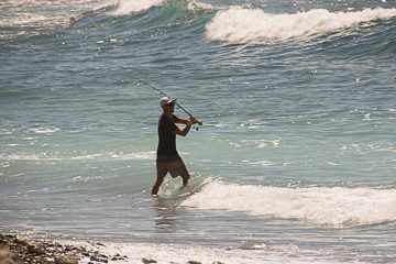 IMG_8920