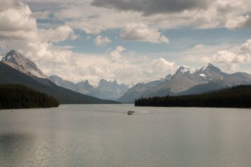 IMG_0052