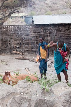 IMG_6821
