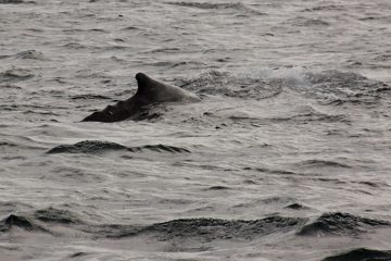 05032013-98.jpg