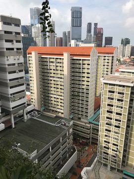 IMG_3016
