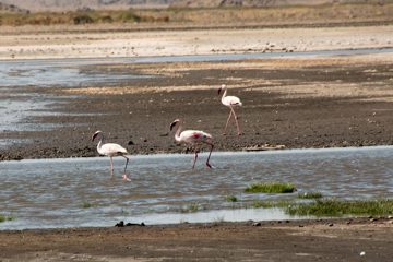IMG_6952