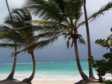 100_2797.jpg