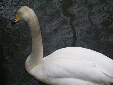 100_0470.jpg